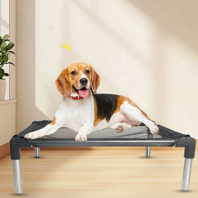 Cooling Elevated Dog Bed - Rai - Outdoor Daybed Sofa avaliação e preço